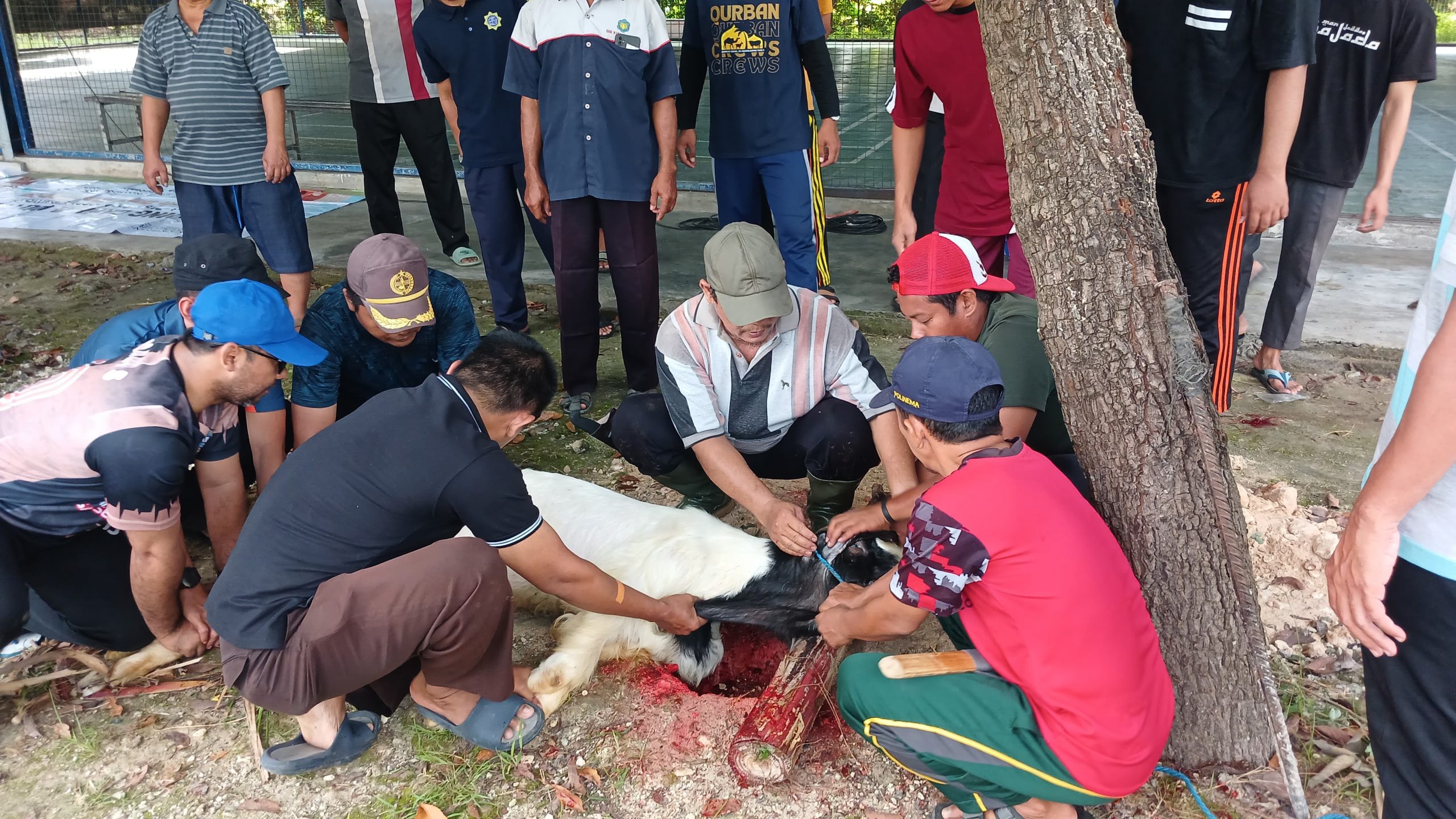 Penyembelihan hewan qurban Pondok Pesantren Maskumambang