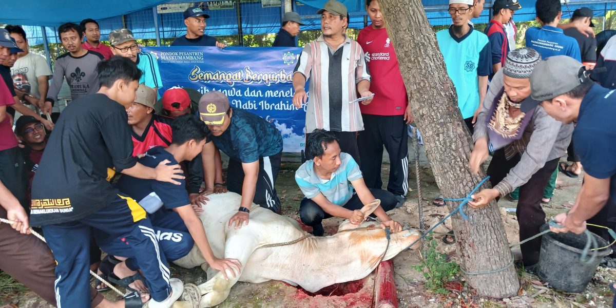 Penyembelihan hewan qurban Pondok Pesantren Maskumambang