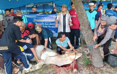 Penyembelihan hewan qurban Pondok Pesantren Maskumambang