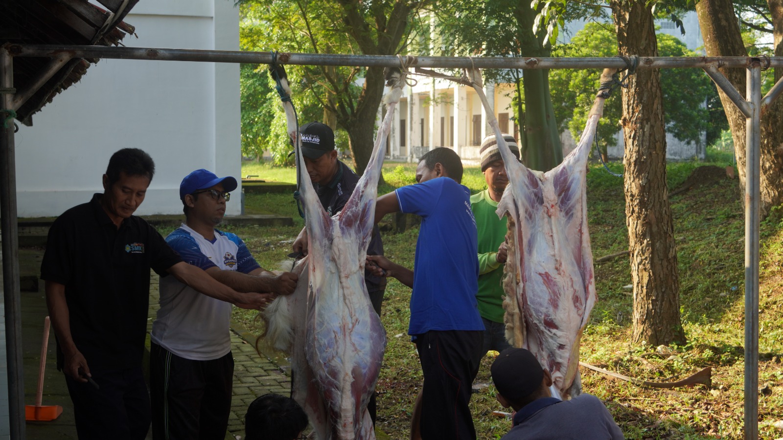 Qurban Pondok Pesantren Maskumambang