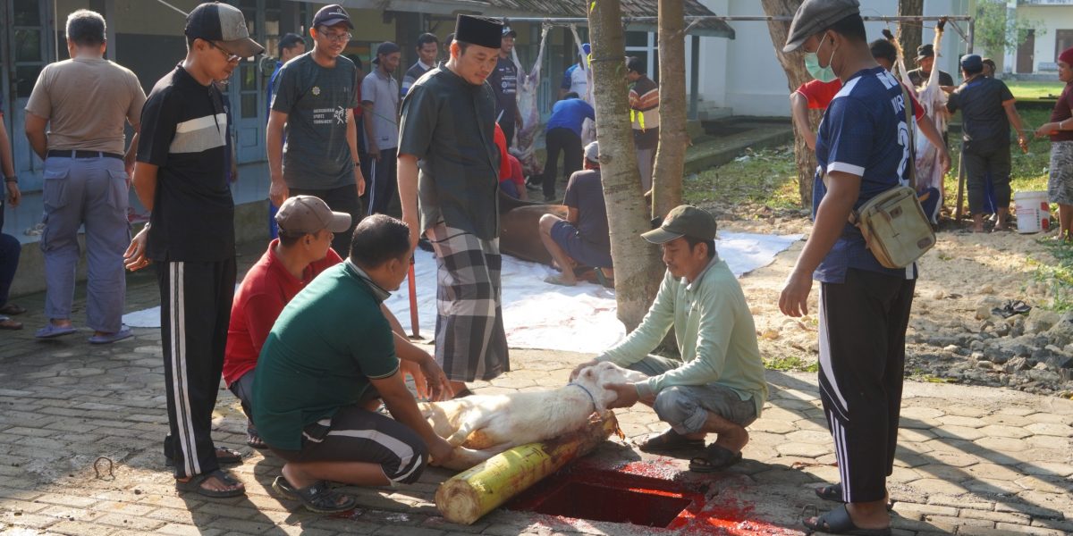 Qurban Pondok Pesantren Maskumambang