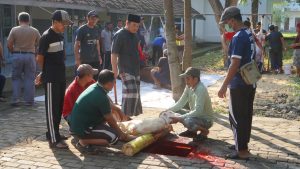 Qurban Pondok Pesantren Maskumambang